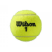 М’ячі тенісні Wilson Roland Garros ALL СT 3 BALL WRT126400 (3 шт.)