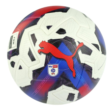 М“яч футбольний Puma Orbita 1 EFL Sky Bet Pro 083888-01 (розмір 5)