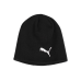Шапка зимняя Puma Indwinterized Tech Bean 024943-01