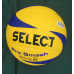 М“яч волейбольний Select Pro Smash Volley (розмір 5)