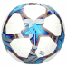 М“яч футбольний Adidas Finale 24 Training IA0952 (розмір 5)