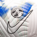 М“яч футбольний Nike Academy Premier League FB2985-105 (розмір 5)