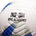 М“яч футбольний Nike Academy Premier League FB2985-105 (розмір 5)