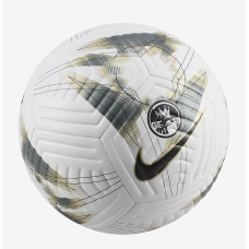 М“яч футбольний Nike Academy Premier League FB2985-106 (розмір 5)