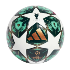 М“яч футбольний полегшений Adidas Finale 25 Munich league Junior 350g JH1290 розмір 5 для дітей