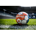 М“яч футбольний Derbystar Bundesliga Brillant APS (розмір 5)