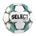 М“яч футбольний SELECT BRILLANT SUPER TB (розмір 5)